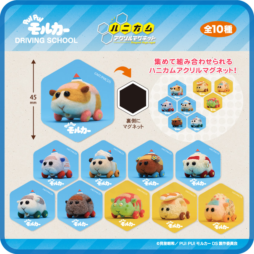 PUI PUI モルカー ハニカムアクリルマグネット メインイメージ