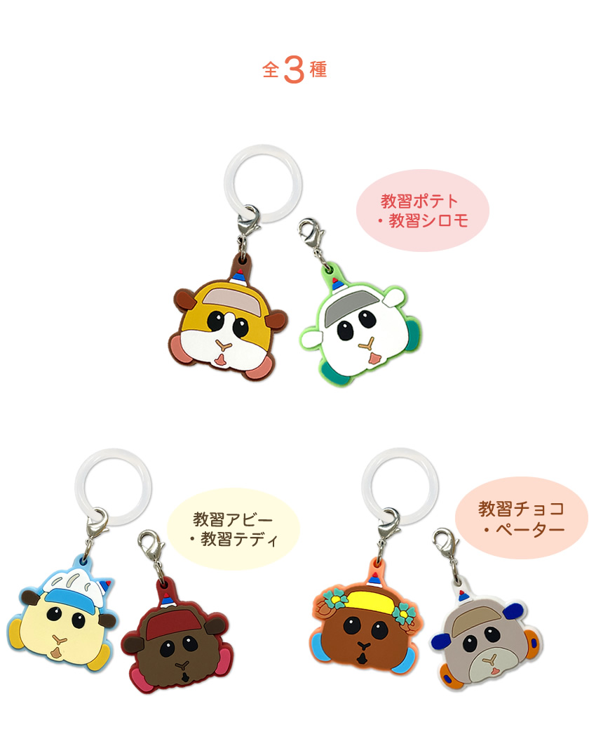 PUI PUI モルカー ラバーケーブルタイ 種類