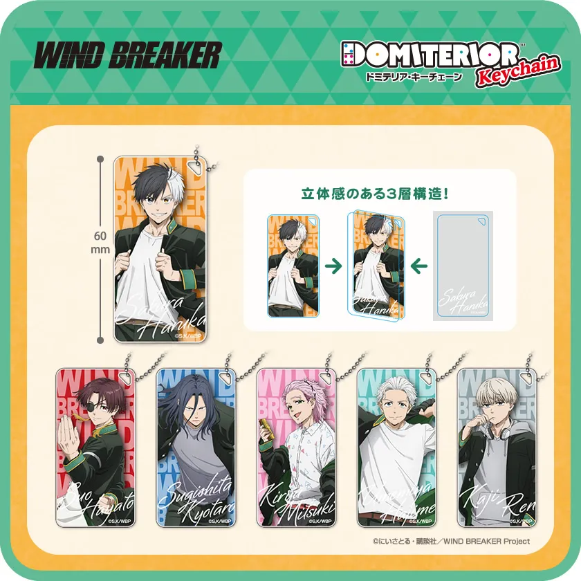 TVアニメ『WIND BREAKER』 ドミテリアキーチェーン メインイメージ