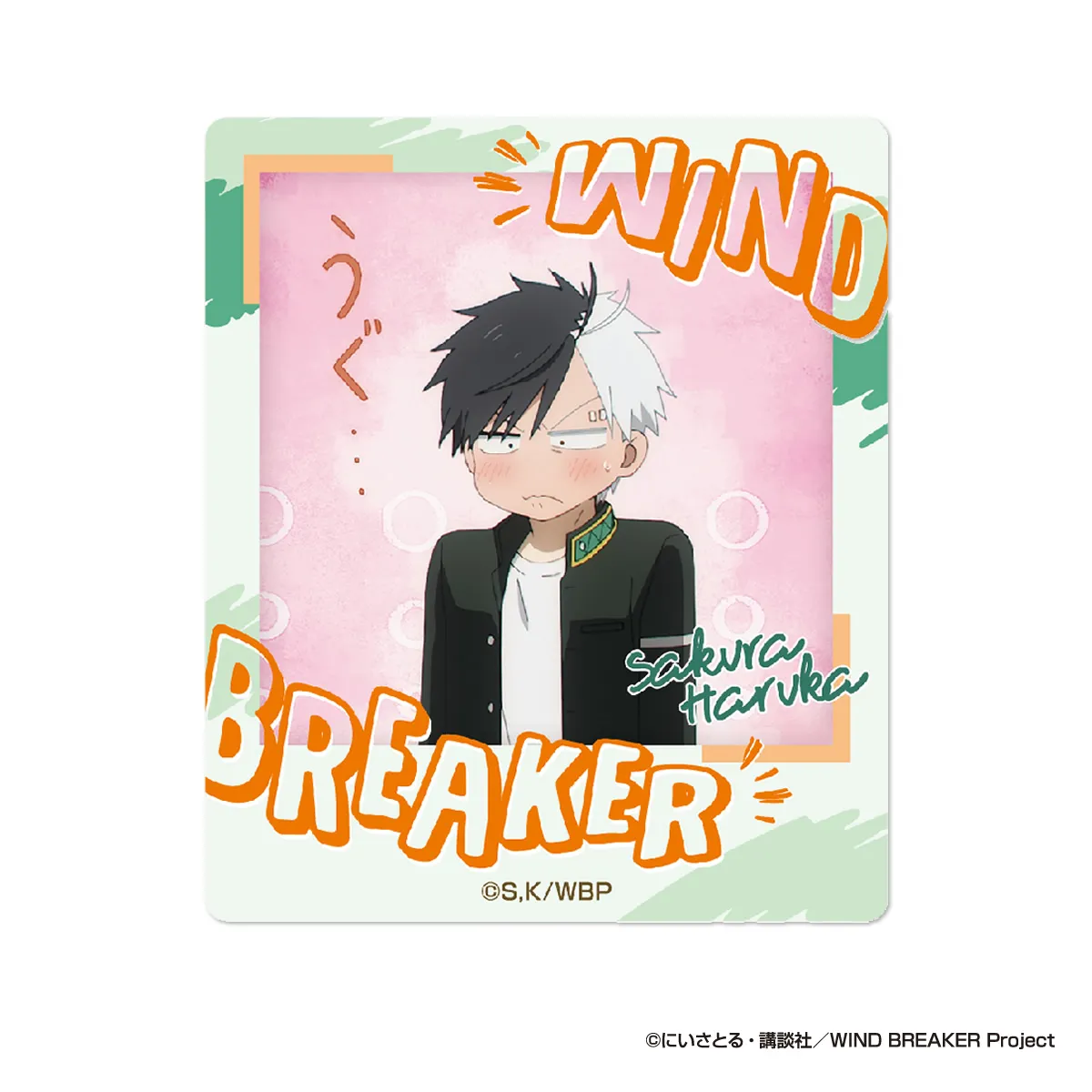 TVアニメ『WIND BREAKER』 インスタントフォトマグネット vol.2 桜B