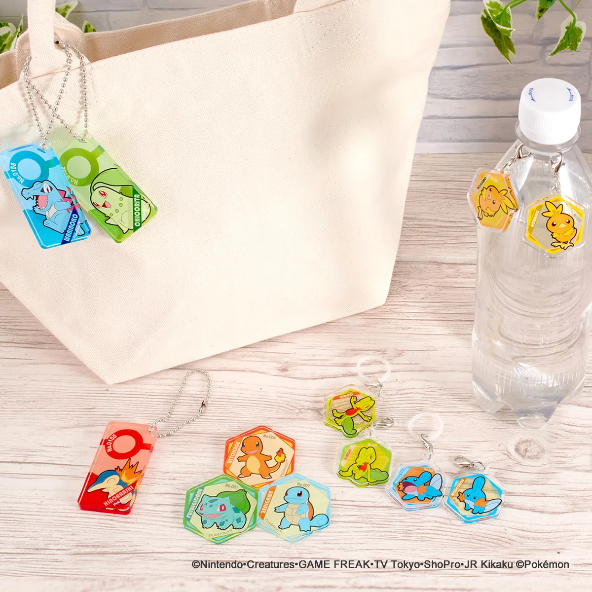 ポケットモンスター ハニカムアクリルマグネット vol.6