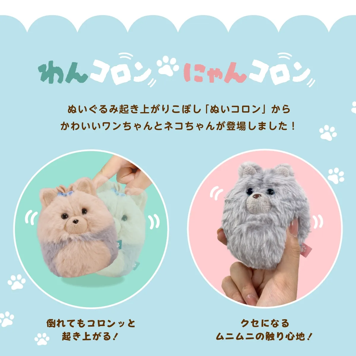 わんコロン にゃんコロン