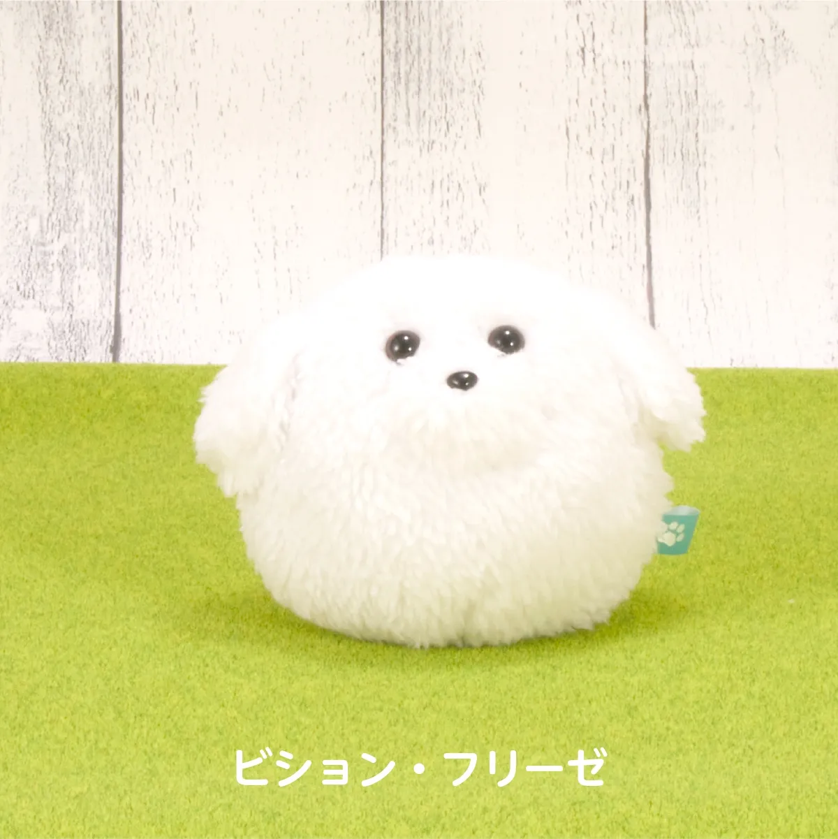 わんコロン（ビション・フリーゼ）