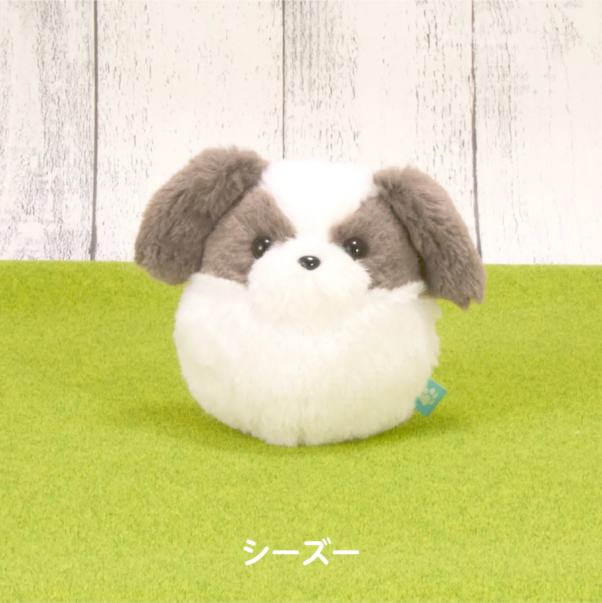 わんコロン（シーズー）