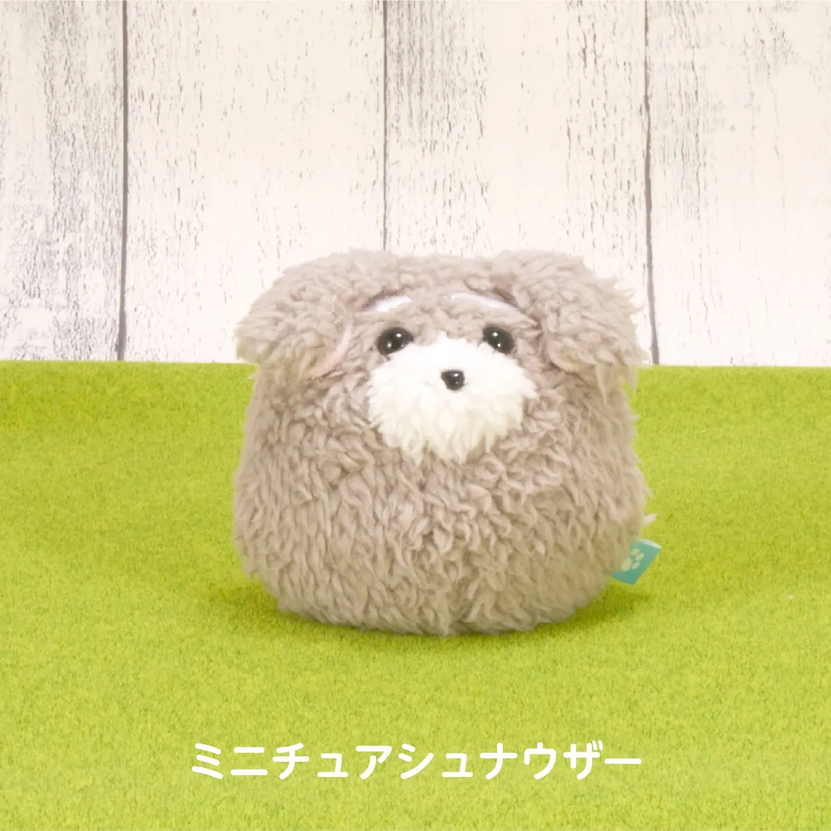 わんコロン（ミニチュアシュナウザー）