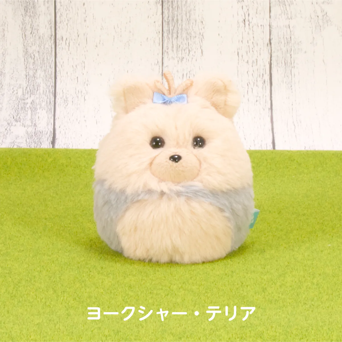 わんコロン（ヨークシャー・テリア）