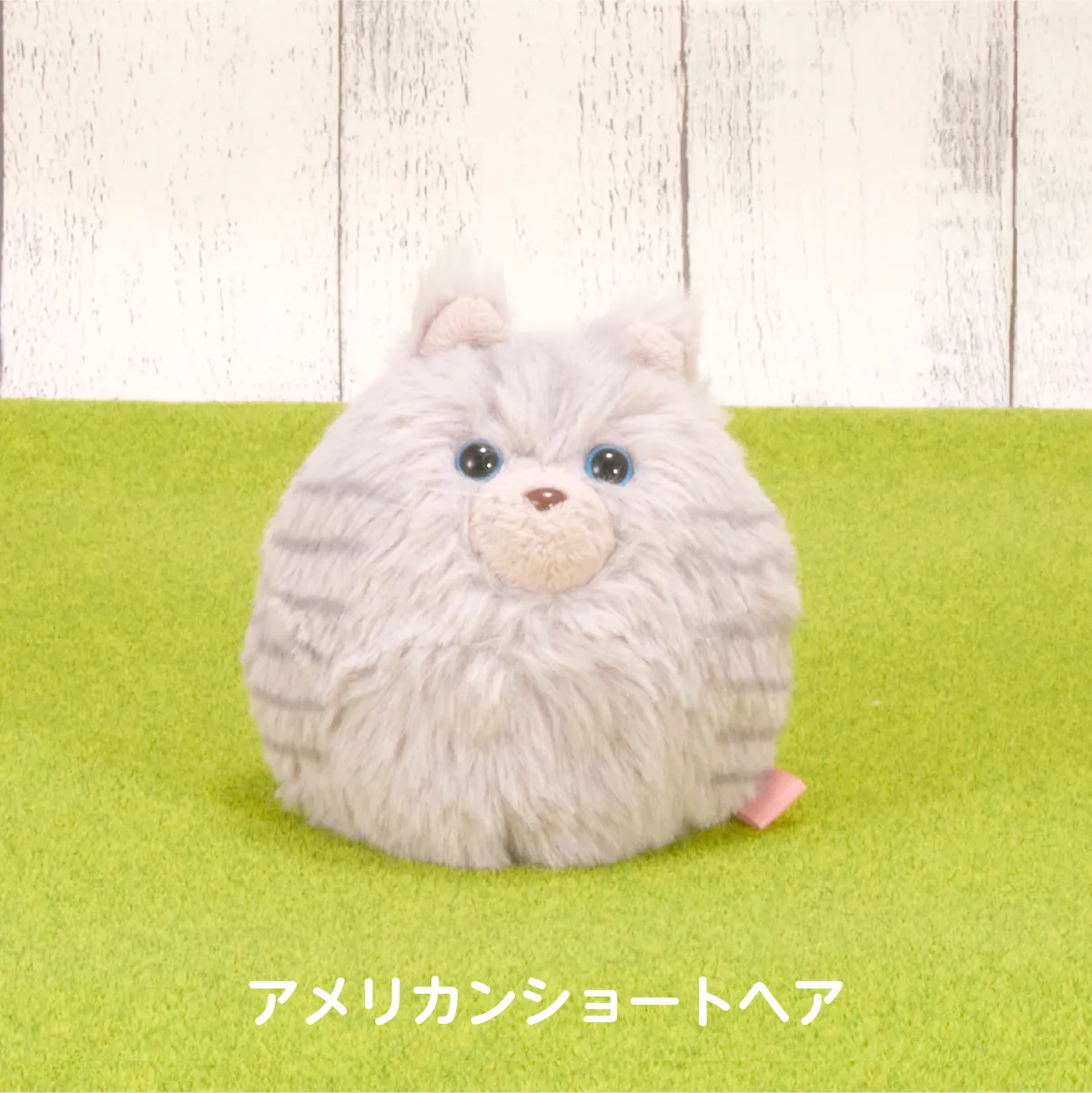 にゃんコロン（アメリカンショートヘア）