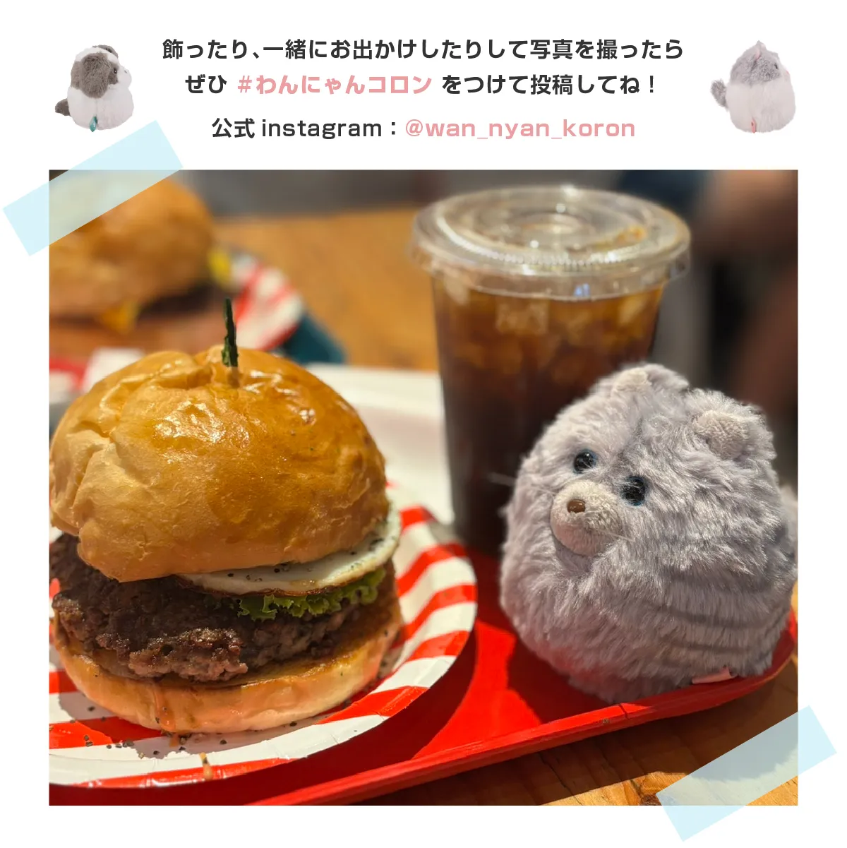 わんコロン にゃんコロン