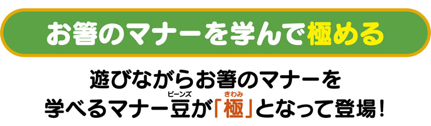 お箸のマナーを学んで極める