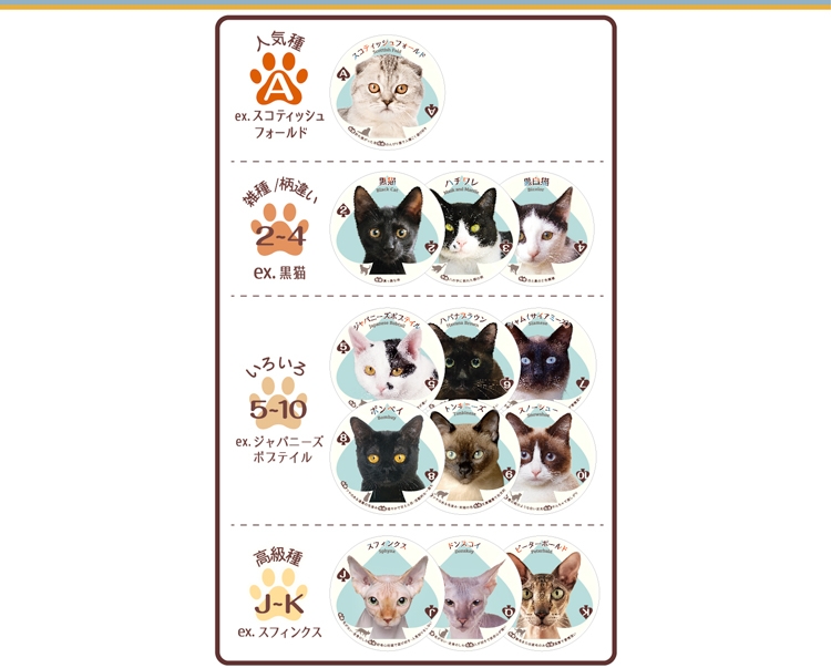 猫にちなんだオリジナルゲーム