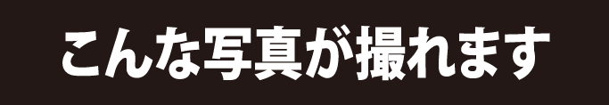 こんな写真が撮れます