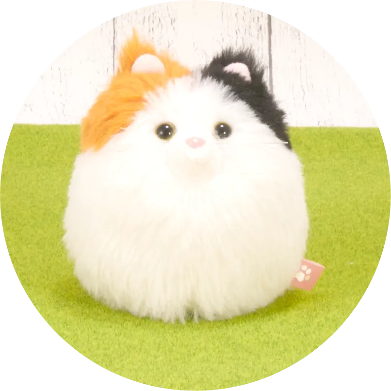 三毛猫