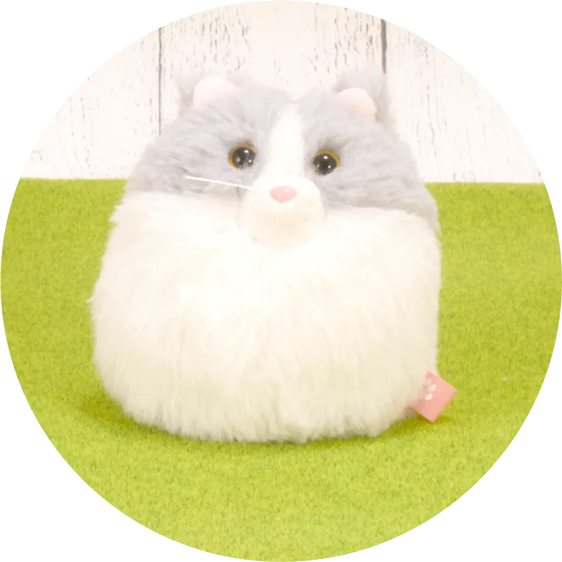 ハチワレ