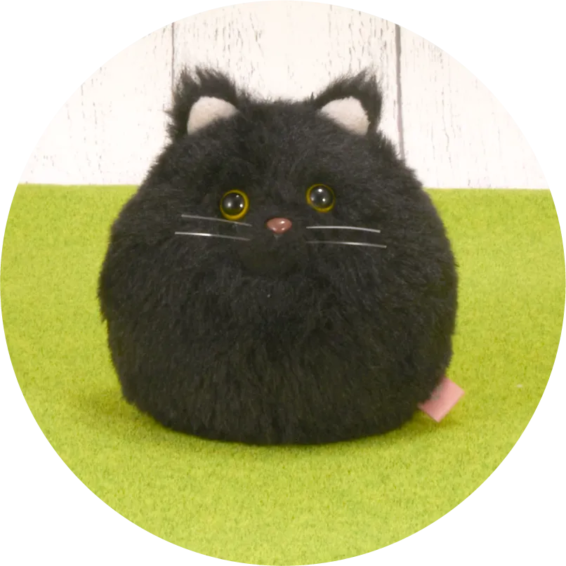 黒猫