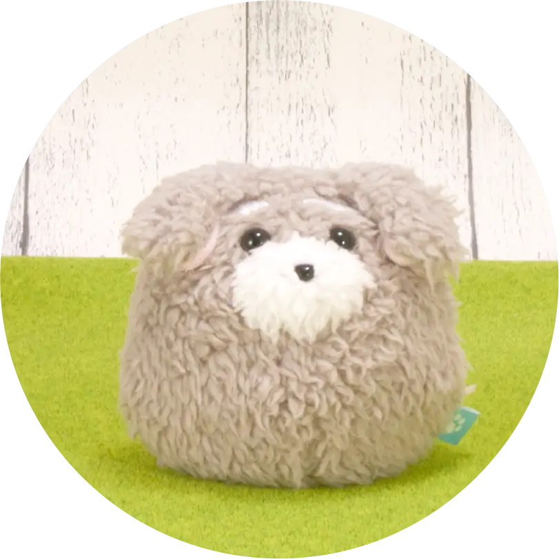 ミニチュアシュナウザー