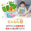 ぱりぱりにんじん畑 アイアップ ファインモータートイ ベビートイ おもちゃ 知育玩具 ソフトトイ 赤ちゃん 出産祝い プレゼント 誕生日