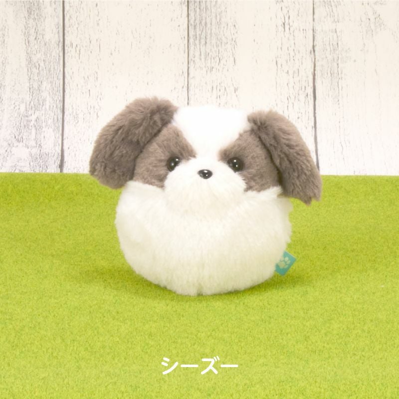 わんコロン （シーズー）