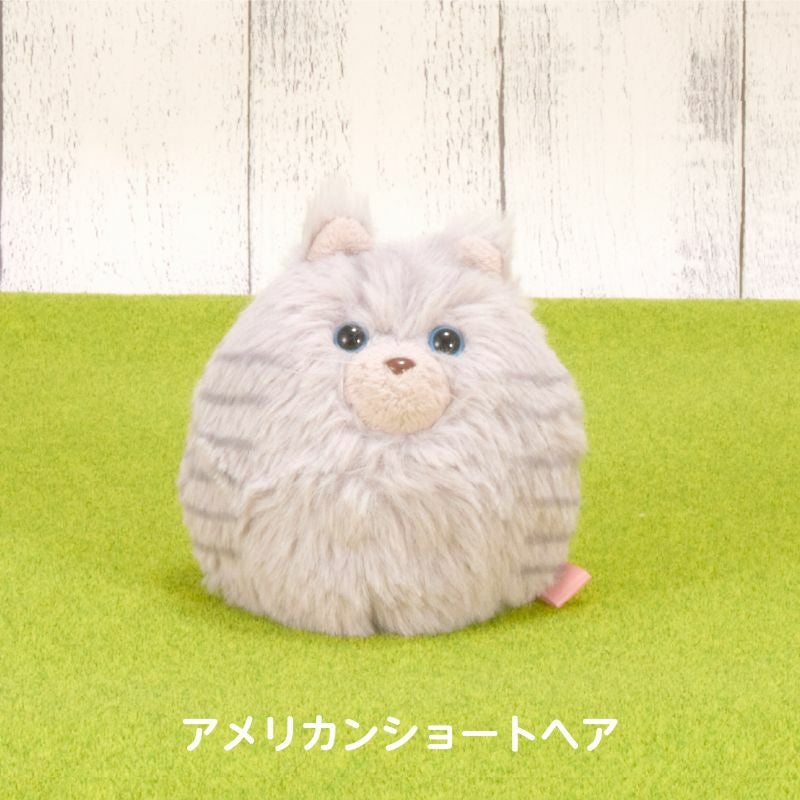 にゃんコロン （アメリカンショートヘア）