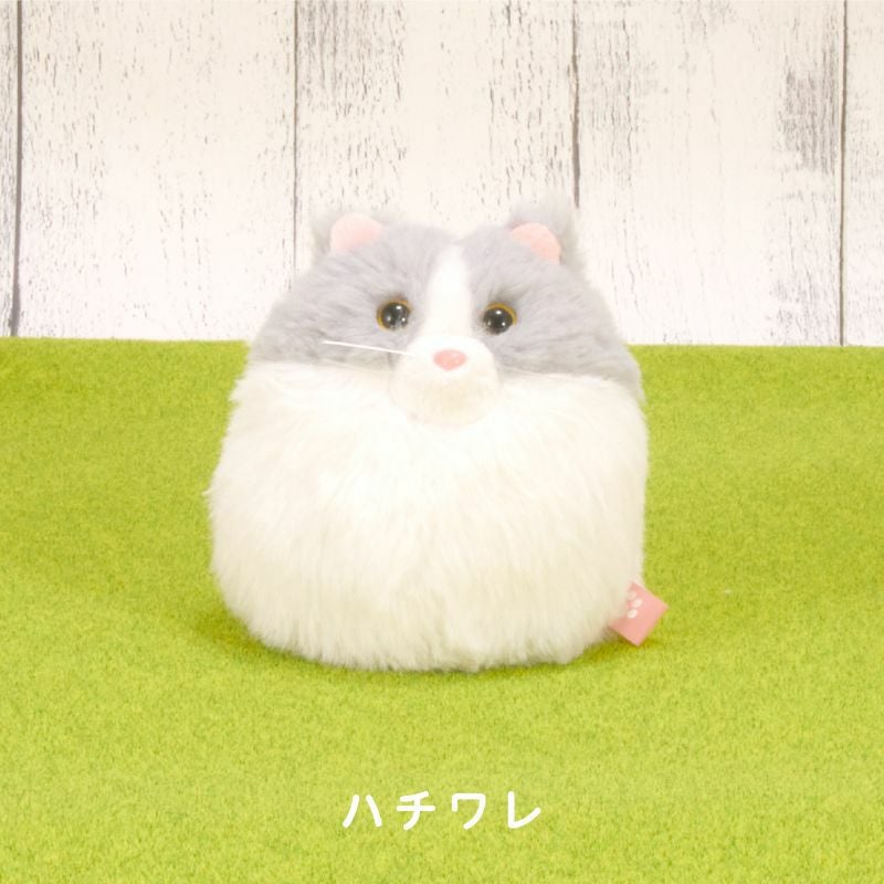 にゃんコロン （ハチワレ）