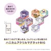 ポケットモンスター ハニカムアクリルマグネット BIG vol.7