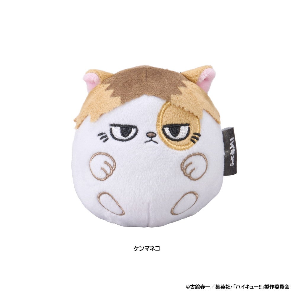 アニメ「ハイキュー!! 」 ぬいコロン