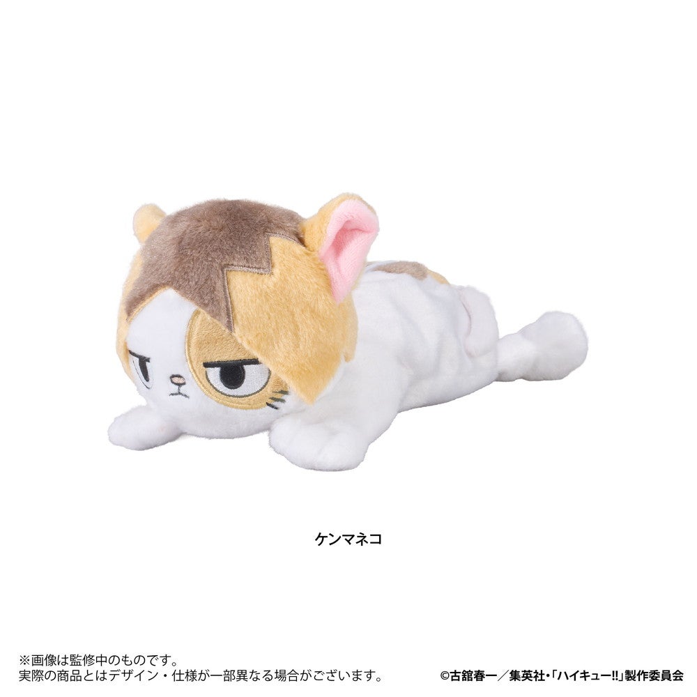 アニメ「ハイキュー!! 」 ぬいぐるみペンポーチ